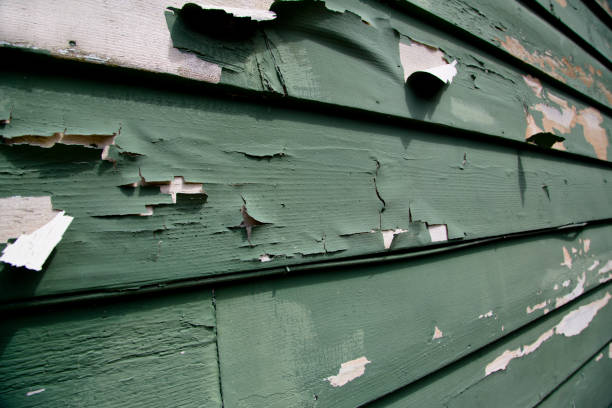 Best Shed Removal  in Bardmoor, FL